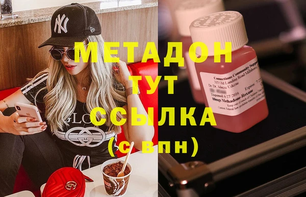 прущие грибы Вяземский