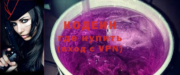 прущие грибы Вяземский