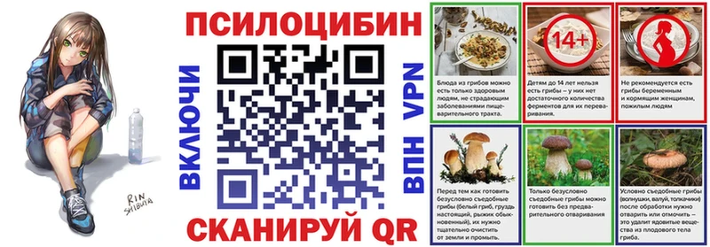 OMG ССЫЛКА  Дагестанские Огни  Псилоцибиновые грибы MAGIC MUSHROOMS 