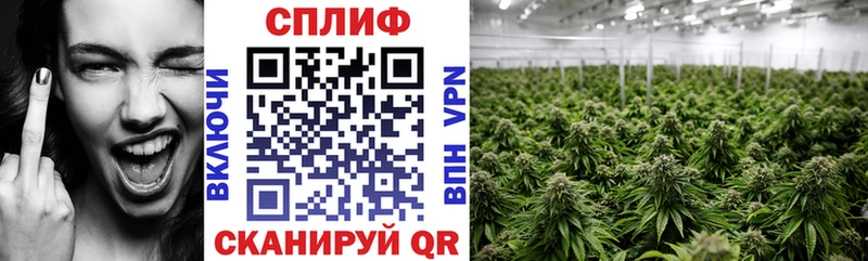 Канабис MAZAR  hydra tor  Дагестанские Огни  где купить наркотик 